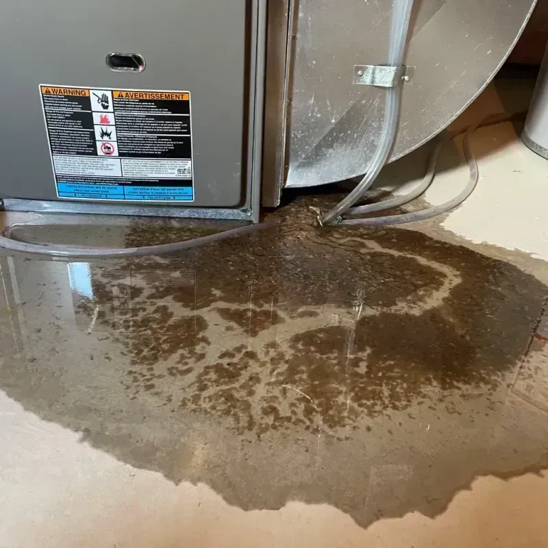 Appliance Leak Cleanup in Eltingville, NY